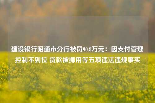 建设银行昭通市分行被罚90.8万元：因支付管理控制不到位 贷款被挪用等五项违法违规事实