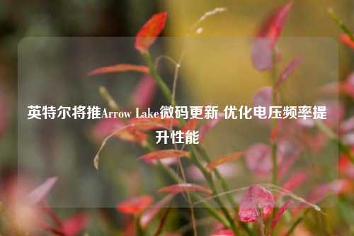 英特尔将推Arrow Lake微码更新 优化电压频率提升性能