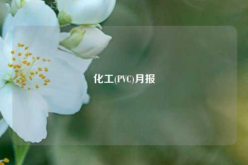 化工(PVC)月报