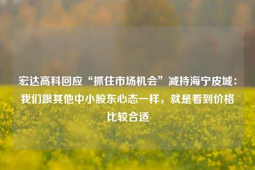 宏达高科回应“抓住市场机会”减持海宁皮城：我们跟其他中小股东心态一样，就是看到价格比较合适