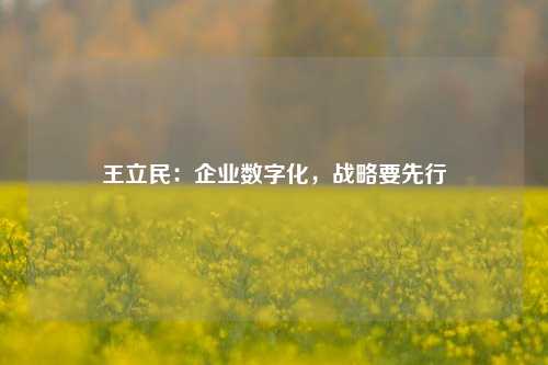 王立民：企业数字化，战略要先行