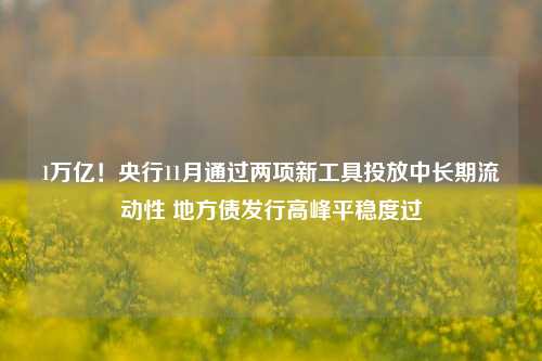 1万亿！央行11月通过两项新工具投放中长期流动性 地方债发行高峰平稳度过