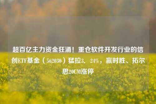 超百亿主力资金狂涌！重仓软件开发行业的信创ETF基金（562030）猛拉3．24%，赢时胜、拓尔思20CM涨停