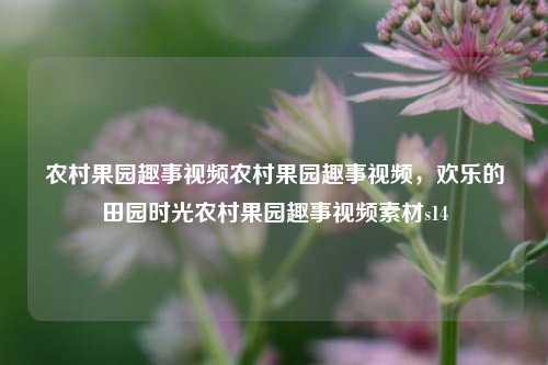 农村果园趣事视频农村果园趣事视频，欢乐的田园时光农村果园趣事视频素材s14