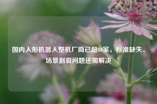 国内人形机器人整机厂商已超80家，标准缺失、场景割裂问题还需解决