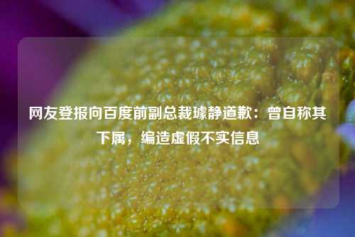 网友登报向百度前副总裁璩静道歉：曾自称其下属，编造虚假不实信息