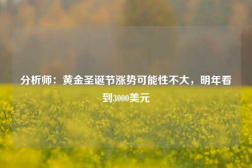 分析师：黄金圣诞节涨势可能性不大，明年看到3000美元