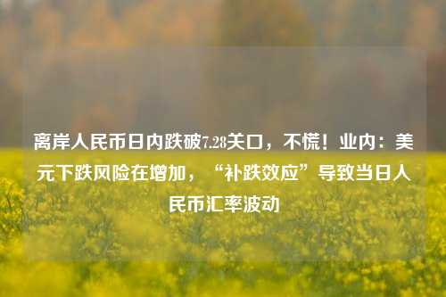 离岸人民币日内跌破7.28关口，不慌！业内：美元下跌风险在增加，“补跌效应”导致当日人民币汇率波动