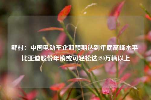 野村：中国电动车企如预期达到年底高峰水平 比亚迪股份年销或可轻松达420万辆以上