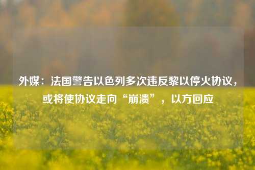 外媒：法国警告以色列多次违反黎以停火协议，或将使协议走向“崩溃”，以方回应