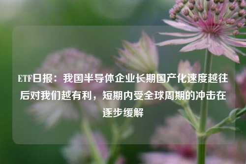 ETF日报：我国半导体企业长期国产化速度越往后对我们越有利，短期内受全球周期的冲击在逐步缓解