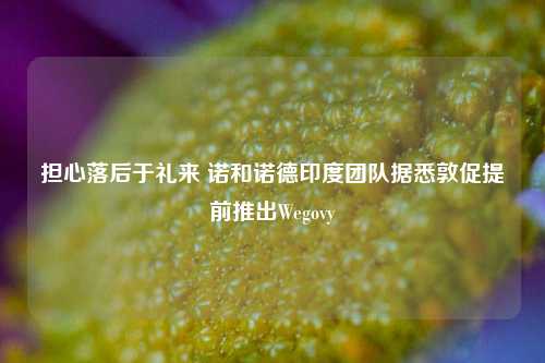 担心落后于礼来 诺和诺德印度团队据悉敦促提前推出Wegovy