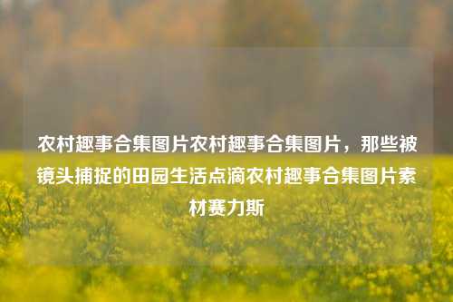 农村趣事合集图片农村趣事合集图片，那些被镜头捕捉的田园生活点滴农村趣事合集图片素材赛力斯