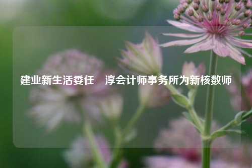 建业新生活委任栢淳会计师事务所为新核数师