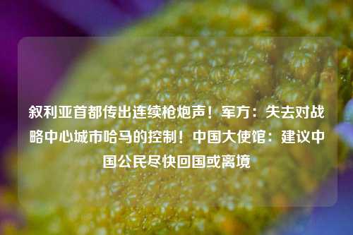 叙利亚首都传出连续枪炮声！军方：失去对战略中心城市哈马的控制！中国大使馆：建议中国公民尽快回国或离境