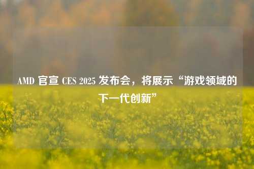 AMD 官宣 CES 2025 发布会，将展示“游戏领域的下一代创新”