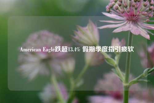 American Eagle跌超13.4% 假期季度指引疲软