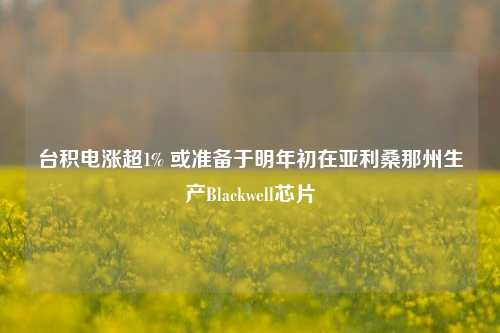 台积电涨超1% 或准备于明年初在亚利桑那州生产Blackwell芯片