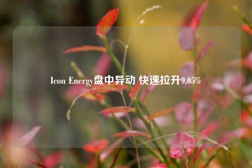 Icon Energy盘中异动 快速拉升9.05%