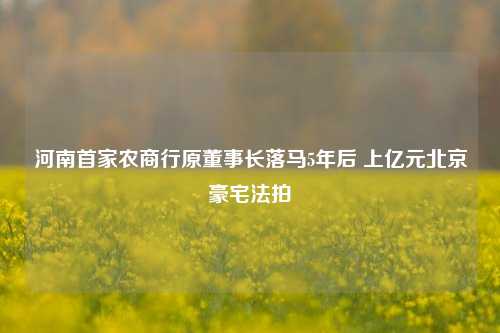 河南首家农商行原董事长落马5年后 上亿元北京豪宅法拍