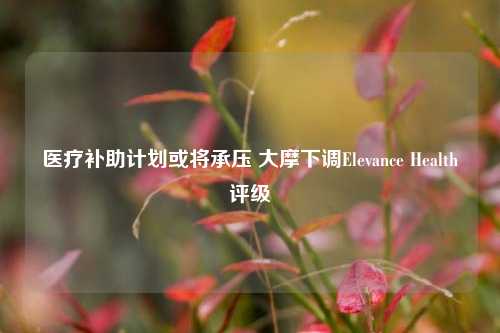 医疗补助计划或将承压 大摩下调Elevance Health评级