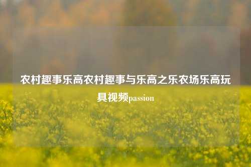 农村趣事乐高农村趣事与乐高之乐农场乐高玩具视频passion