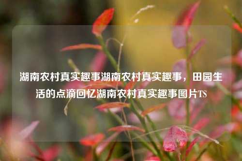 湖南农村真实趣事湖南农村真实趣事，田园生活的点滴回忆湖南农村真实趣事图片TS