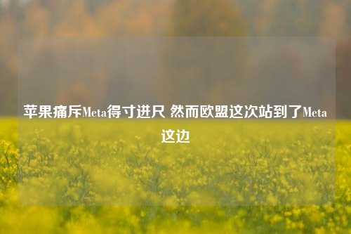 苹果痛斥Meta得寸进尺 然而欧盟这次站到了Meta这边