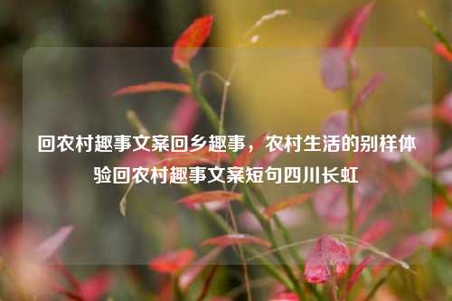 回农村趣事文案回乡趣事，农村生活的别样体验回农村趣事文案短句四川长虹