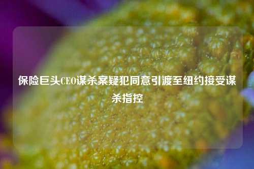 保险巨头CEO谋杀案疑犯同意引渡至纽约接受谋杀指控