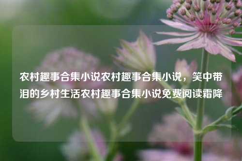 农村趣事合集小说农村趣事合集小说，笑中带泪的乡村生活农村趣事合集小说免费阅读霜降