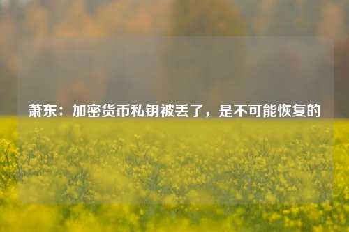 萧东：加密货币私钥被丢了，是不可能恢复的