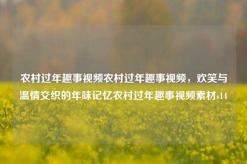 农村过年趣事视频农村过年趣事视频，欢笑与温情交织的年味记忆农村过年趣事视频素材s14