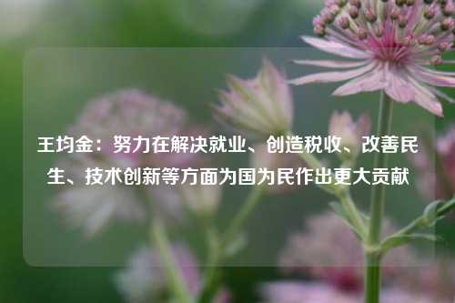 王均金：努力在解决就业、创造税收、改善民生、技术创新等方面为国为民作出更大贡献