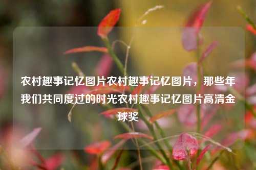 农村趣事记忆图片农村趣事记忆图片，那些年我们共同度过的时光农村趣事记忆图片高清金球奖