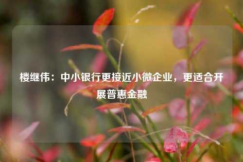 楼继伟：中小银行更接近小微企业，更适合开展普惠金融