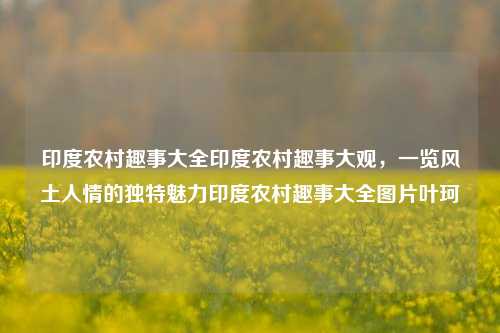 印度农村趣事大全印度农村趣事大观，一览风土人情的独特魅力印度农村趣事大全图片叶珂