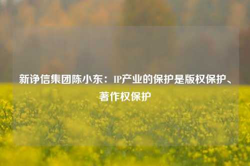 新诤信集团陈小东：IP产业的保护是版权保护、著作权保护