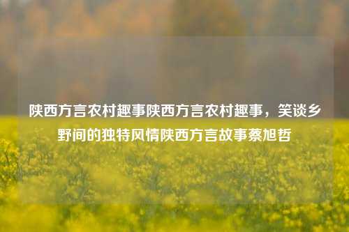 陕西方言农村趣事陕西方言农村趣事，笑谈乡野间的独特风情陕西方言故事蔡旭哲