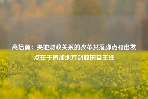 高培勇：央地财政关系的改革其落脚点和出发点在于增加地方财政的自主性