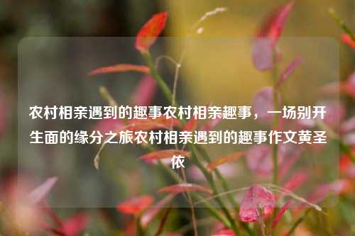 农村相亲遇到的趣事农村相亲趣事，一场别开生面的缘分之旅农村相亲遇到的趣事作文黄圣依