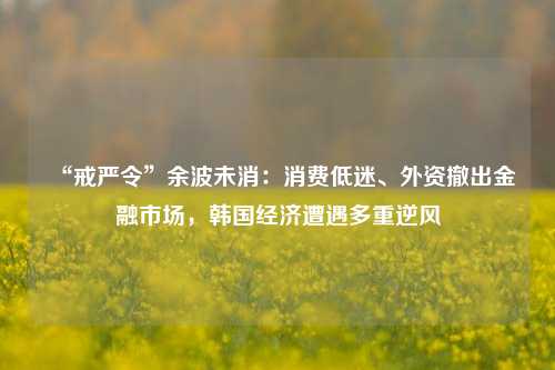 “戒严令”余波未消：消费低迷、外资撤出金融市场，韩国经济遭遇多重逆风