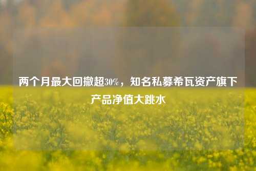 两个月最大回撤超30%，知名私募希瓦资产旗下产品净值大跳水