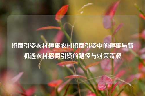 招商引资农村趣事农村招商引资中的趣事与新机遇农村招商引资的路径与对策毒液