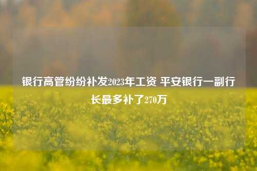 银行高管纷纷补发2023年工资 平安银行一副行长最多补了270万