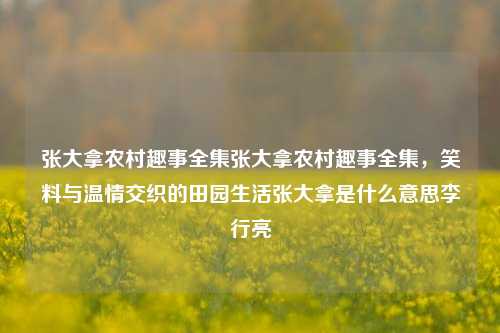 张大拿农村趣事全集张大拿农村趣事全集，笑料与温情交织的田园生活张大拿是什么意思李行亮